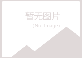 周村区初夏化学有限公司